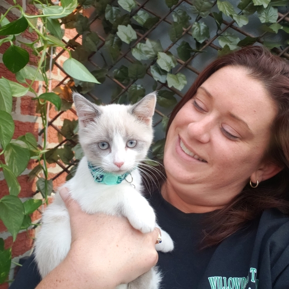 Meet your Posher, Kristy - Picture 4 of 4